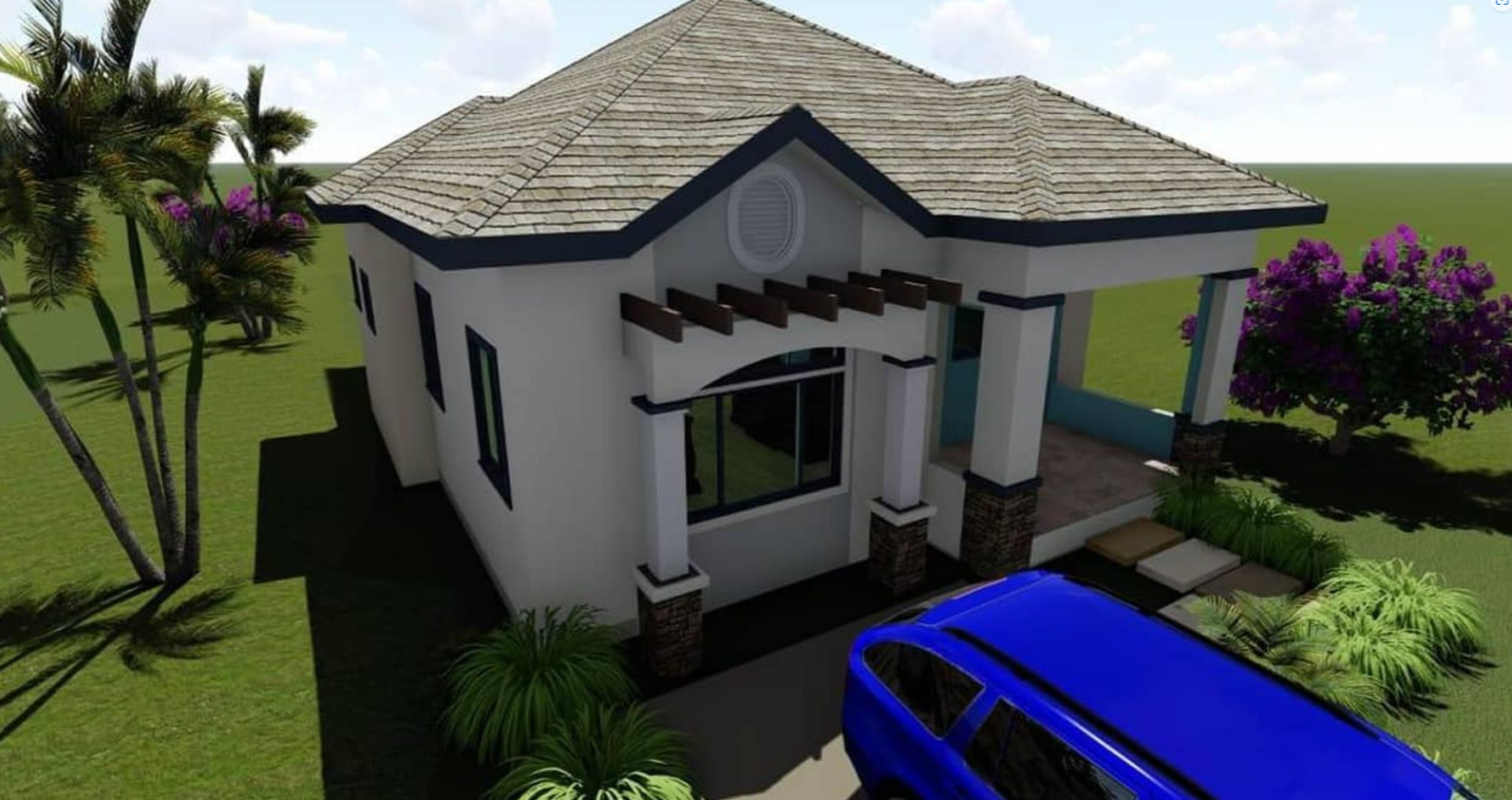 Development Image