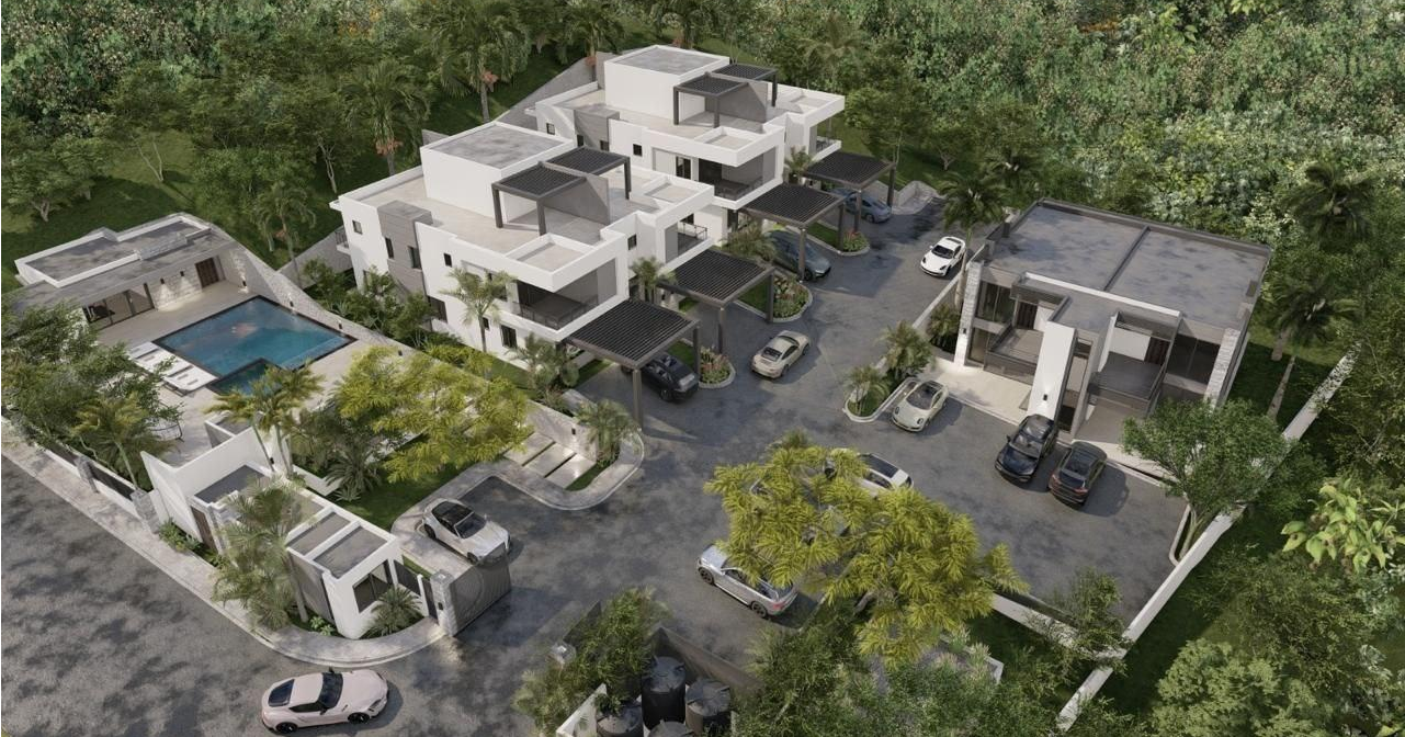Development Image