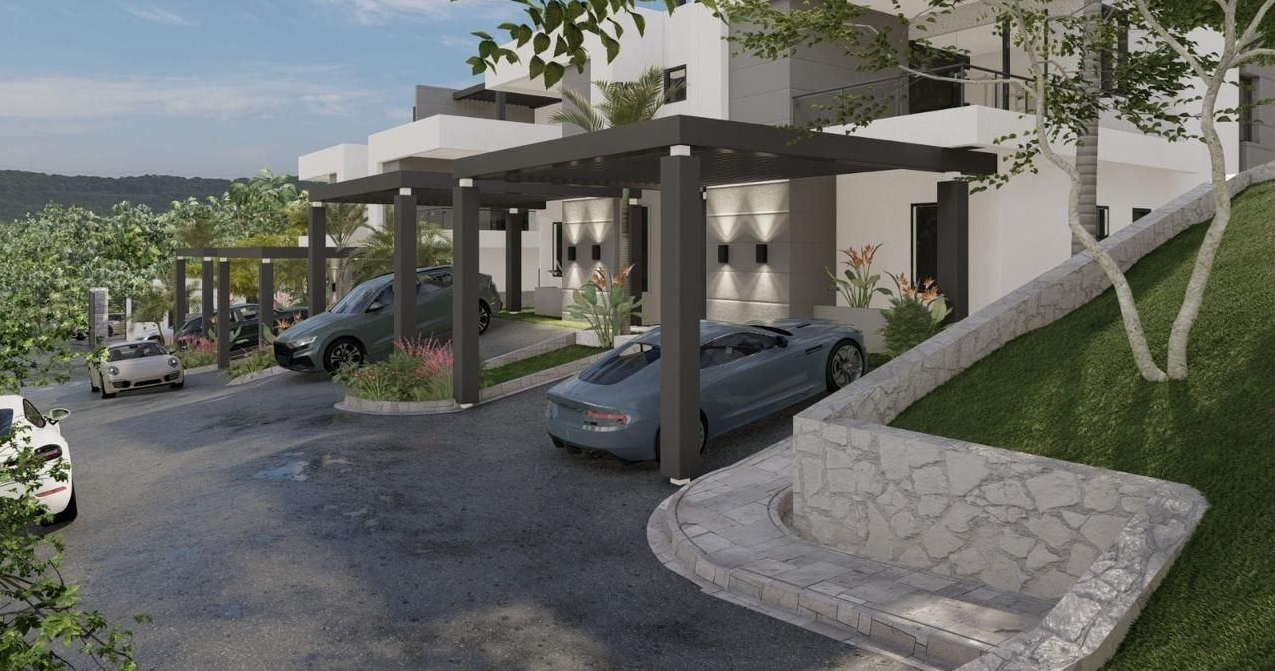 Development Image