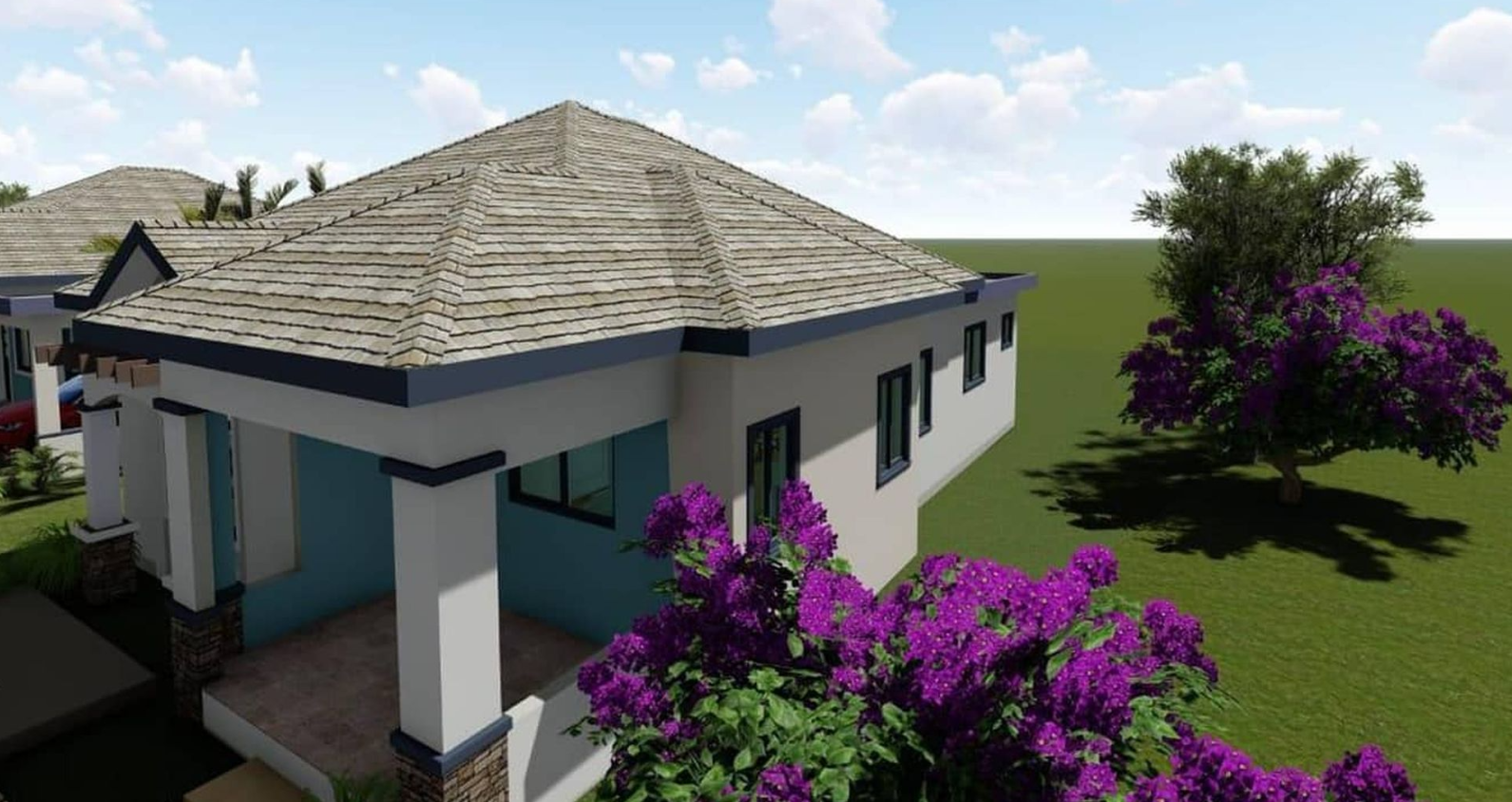 Development Image