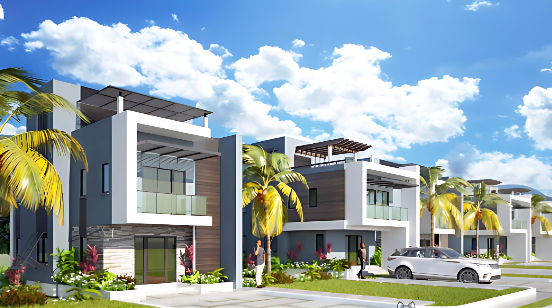 Development Image
