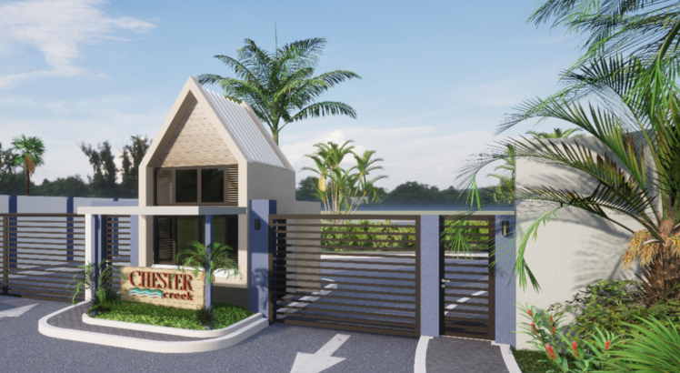 Development Image