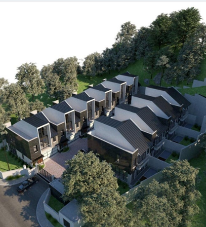 Development Image